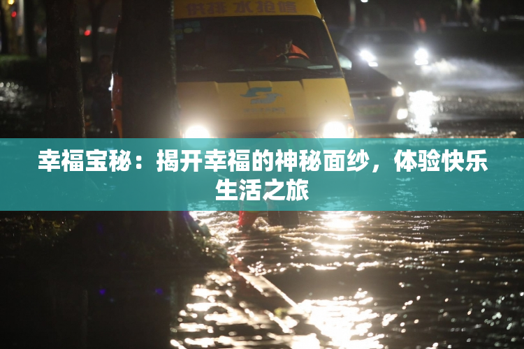 幸福宝秘：揭开幸福的神秘面纱，体验快乐生活之旅