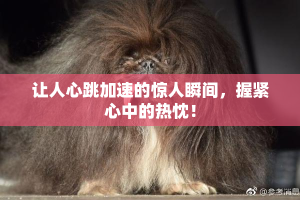让人心跳加速的惊人瞬间，握紧心中的热忱！