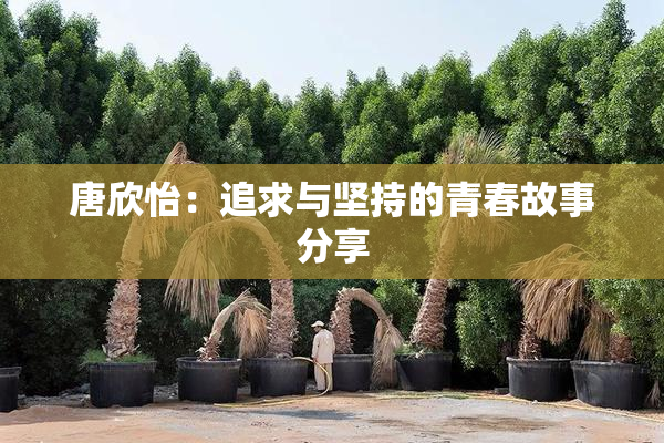 唐欣怡：追求与坚持的青春故事分享