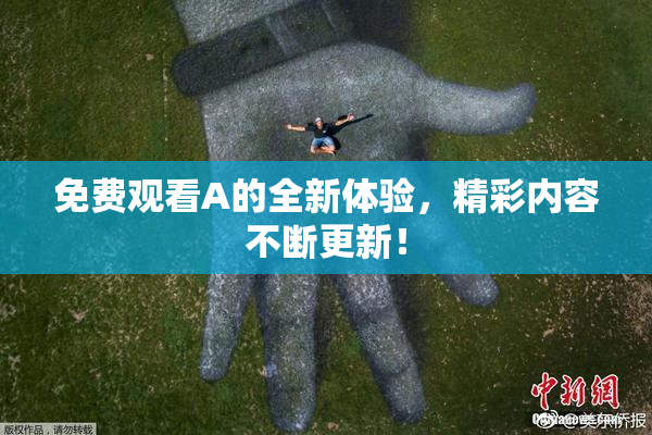 免费观看A的全新体验，精彩内容不断更新！