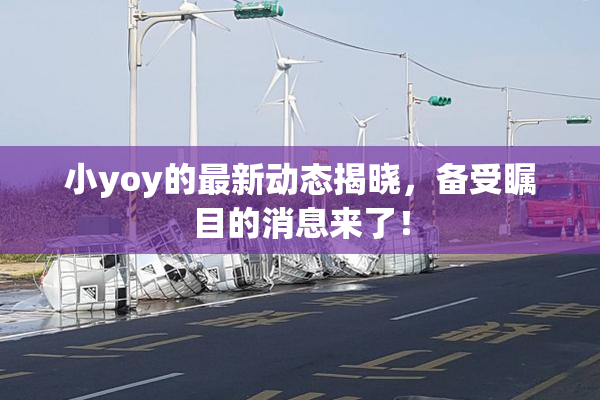 小yoy的最新动态揭晓，备受瞩目的消息来了！