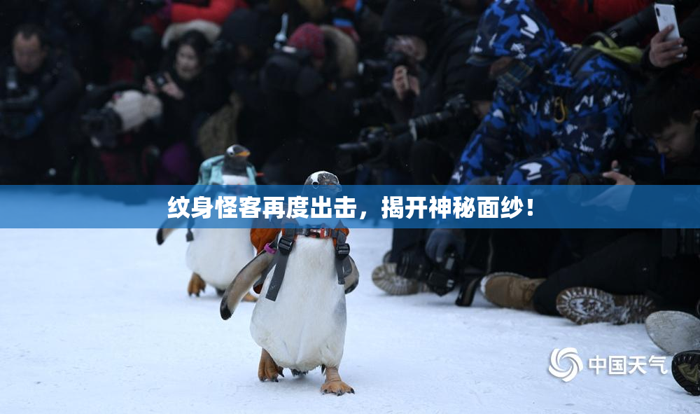 纹身怪客再度出击，揭开神秘面纱！