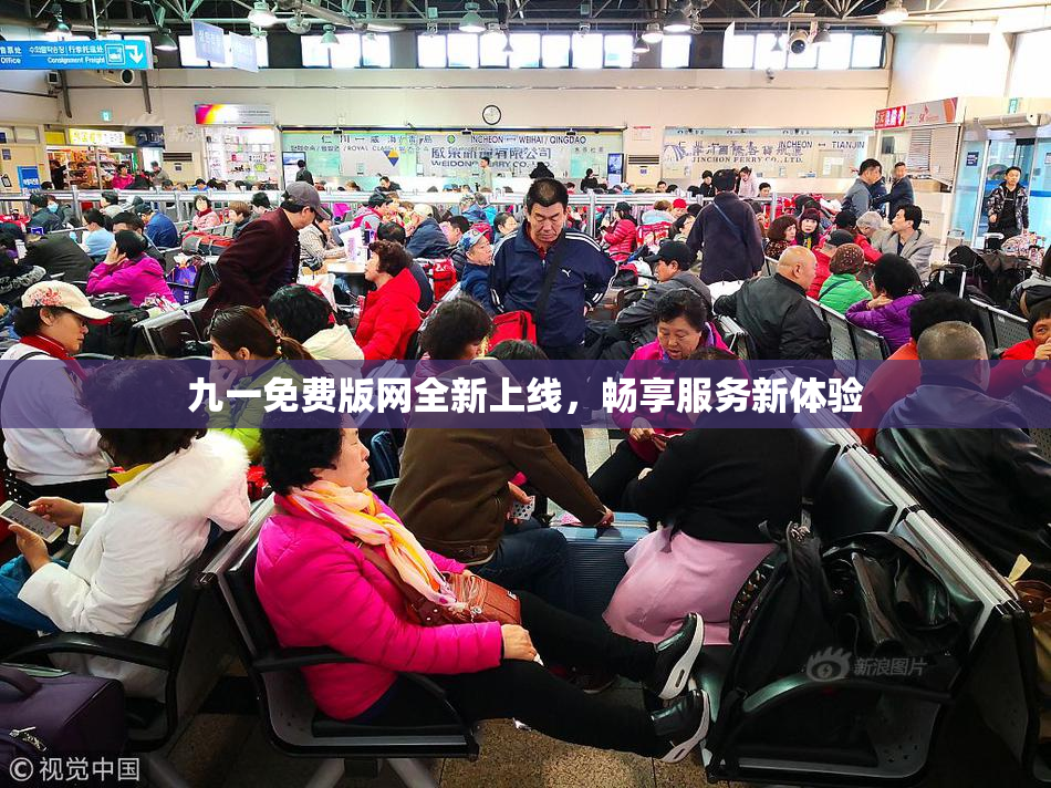 九一免费版网全新上线，畅享服务新体验