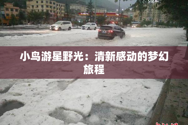小鸟游星野光：清新感动的梦幻旅程