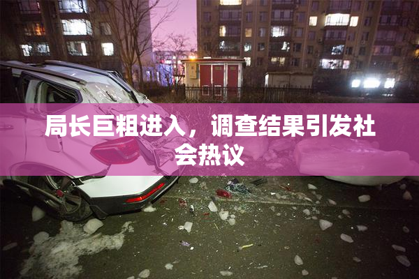 局长巨粗进入，调查结果引发社会热议
