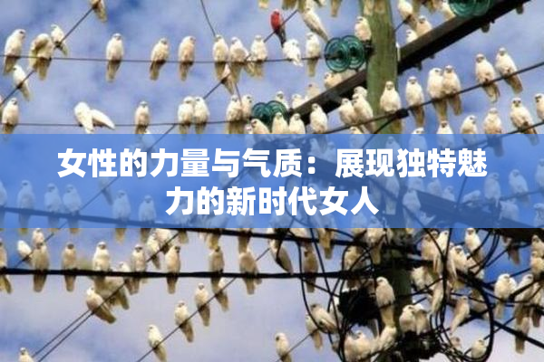 女性的力量与气质：展现独特魅力的新时代女人