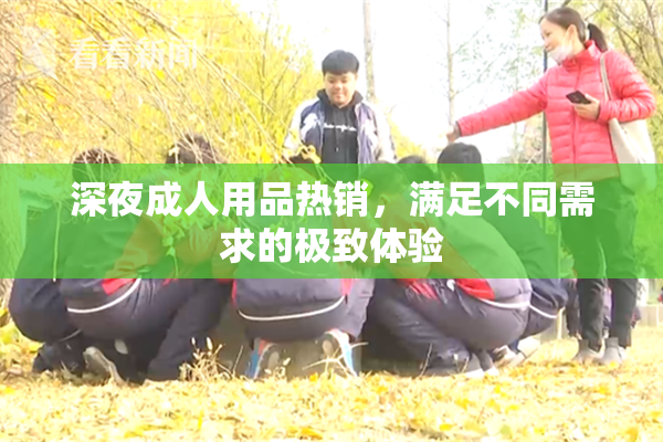 深夜成人用品热销，满足不同需求的极致体验