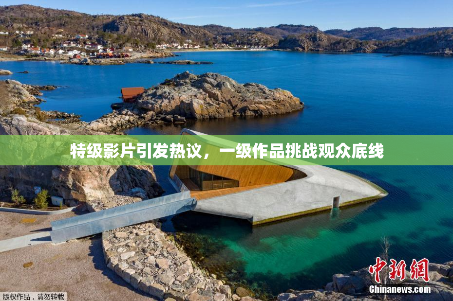 特级影片引发热议，一级作品挑战观众底线