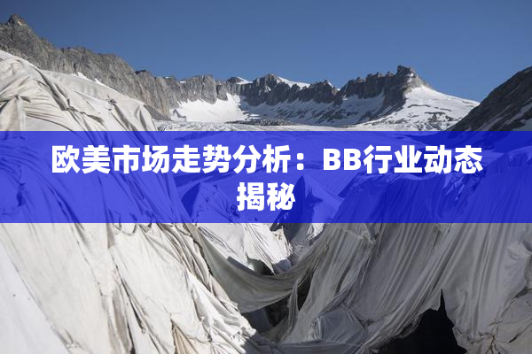 欧美市场走势分析：BB行业动态揭秘