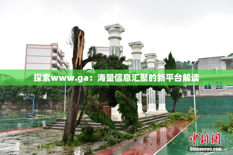 探索www.ga：海量信息汇聚的新平台解读