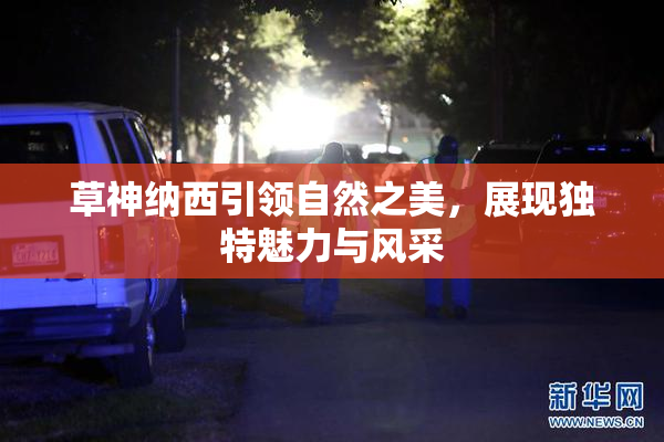 草神纳西引领自然之美，展现独特魅力与风采