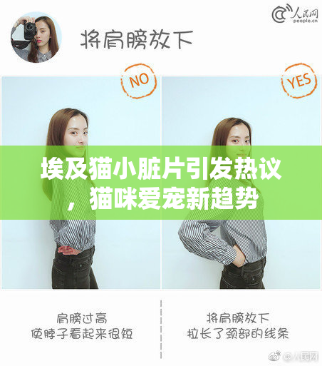 埃及猫小脏片引发热议，猫咪爱宠新趋势