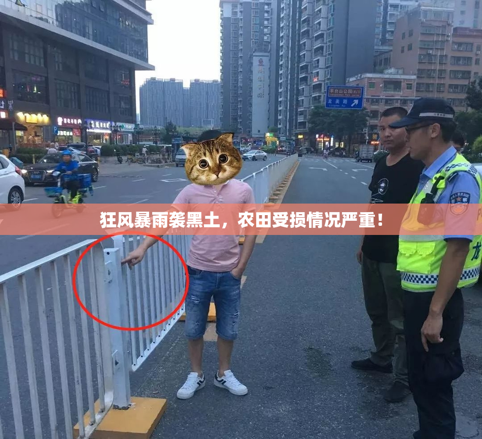 狂风暴雨袭黑土，农田受损情况严重！