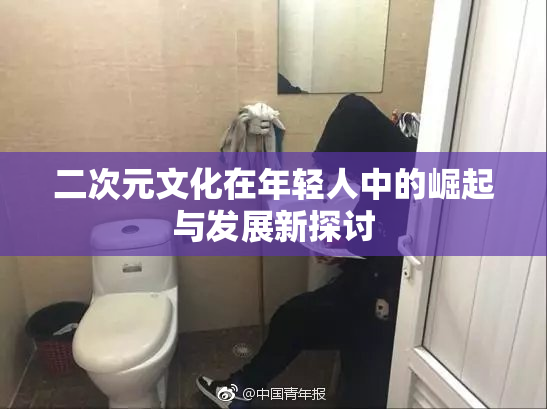 二次元文化在年轻人中的崛起与发展新探讨