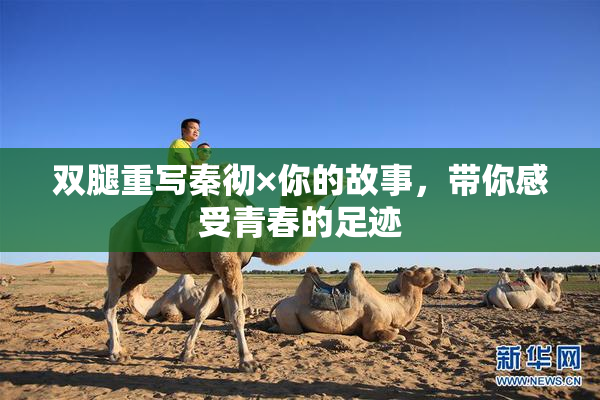 双腿重写秦彻×你的故事，带你感受青春的足迹