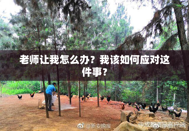 老师让我怎么办？我该如何应对这件事？