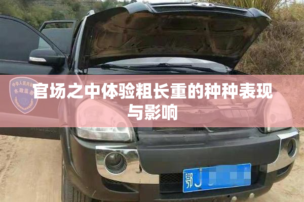 官场之中体验粗长重的种种表现与影响
