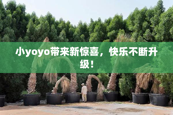 小yoyo带来新惊喜，快乐不断升级！