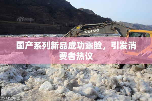 国产系列新品成功露脸，引发消费者热议