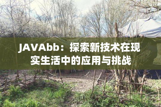 JAVAbb：探索新技术在现实生活中的应用与挑战