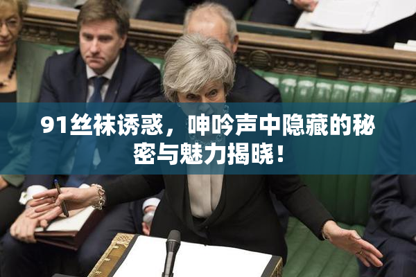91丝袜诱惑，呻吟声中隐藏的秘密与魅力揭晓！