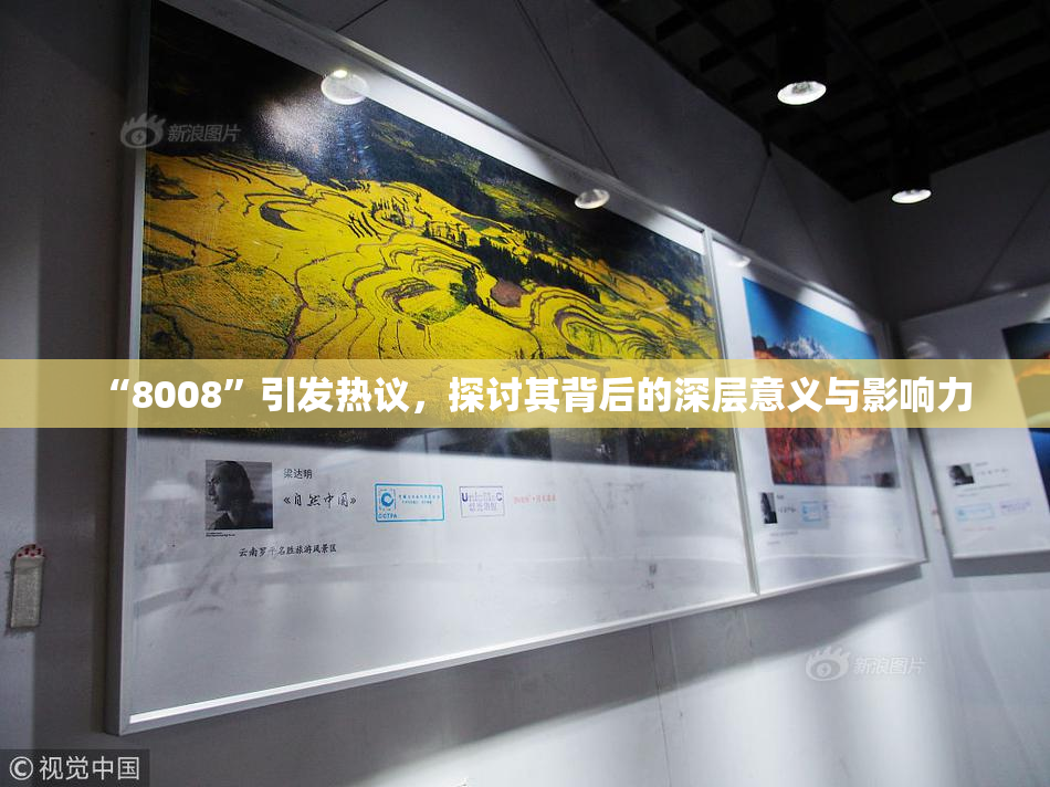 “8008”引发热议，探讨其背后的深层意义与影响力
