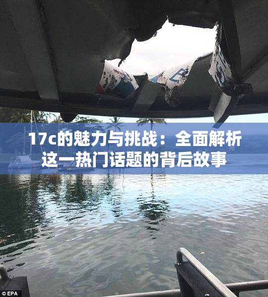 17c的魅力与挑战：全面解析这一热门话题的背后故事