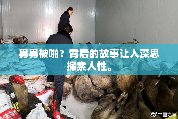 男男被啪？背后的故事让人深思探索人性。