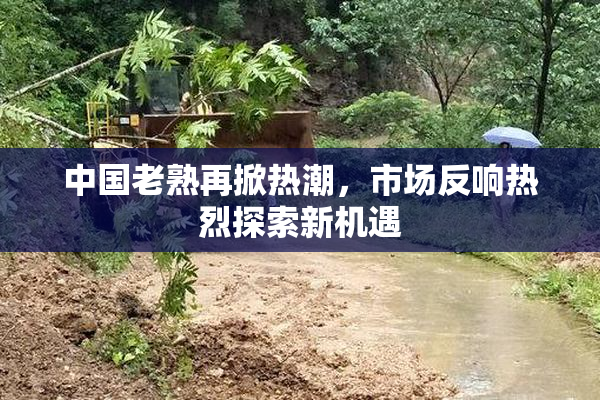 中国老熟再掀热潮，市场反响热烈探索新机遇