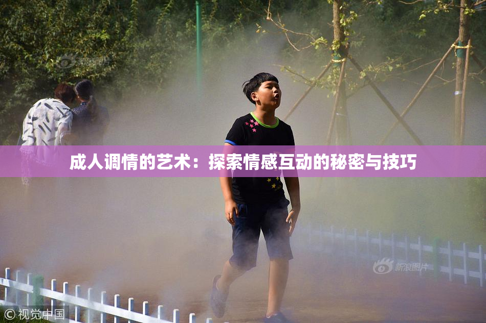 成人调情的艺术：探索情感互动的秘密与技巧
