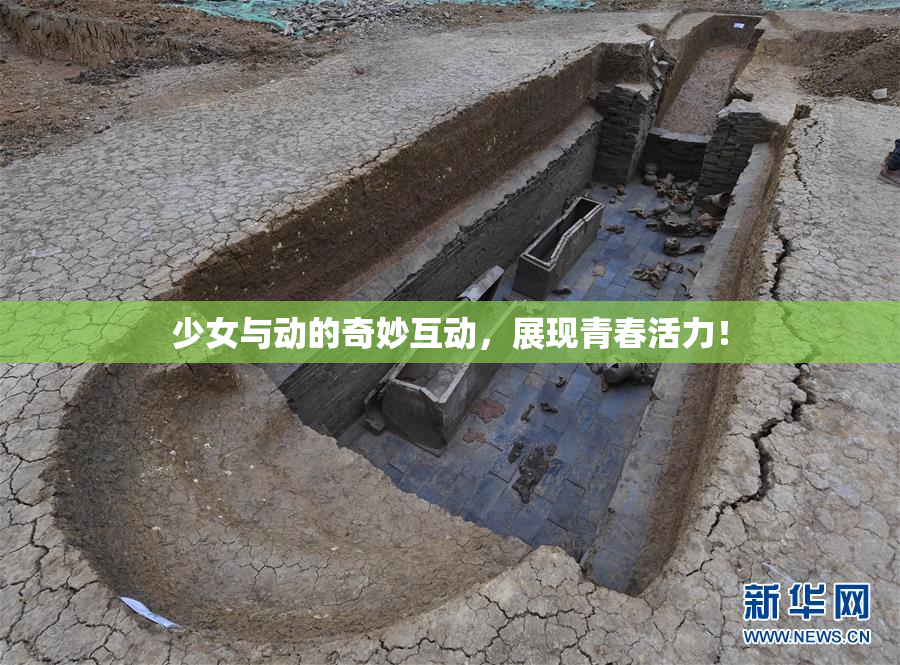 少女与动的奇妙互动，展现青春活力！