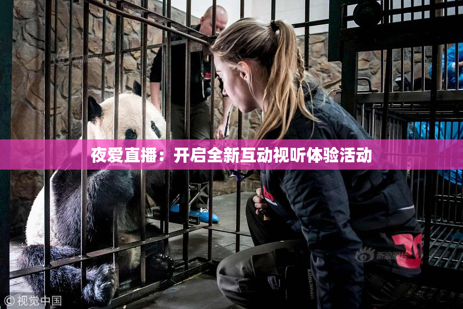 夜爱直播：开启全新互动视听体验活动
