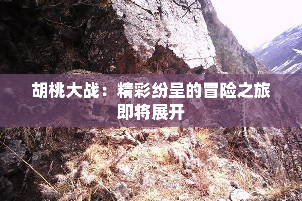 胡桃大战：精彩纷呈的冒险之旅即将展开