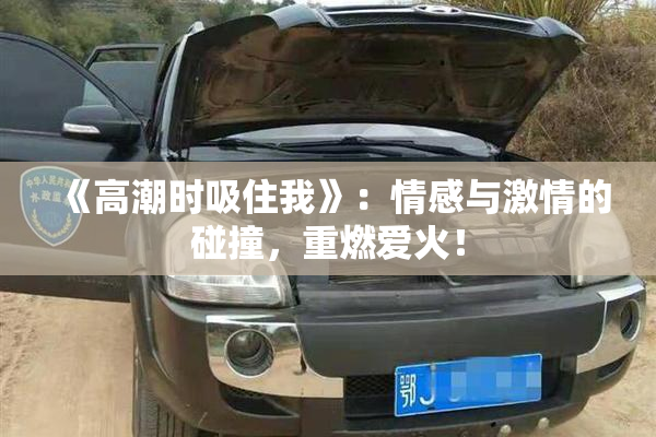 《高潮时吸住我》：情感与激情的碰撞，重燃爱火！
