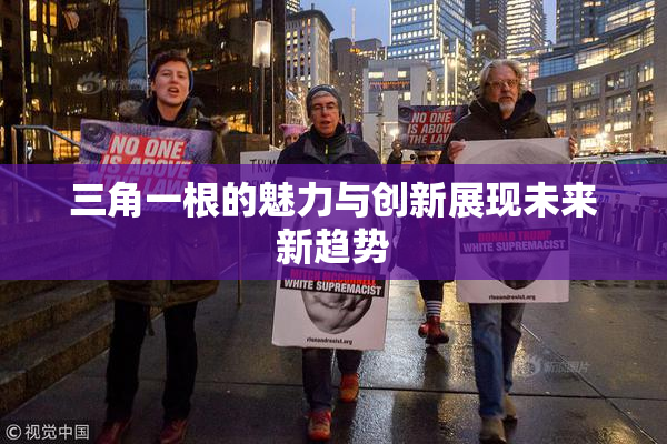 三角一根的魅力与创新展现未来新趋势