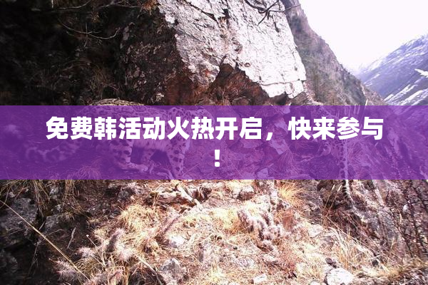 免费韩活动火热开启，快来参与！