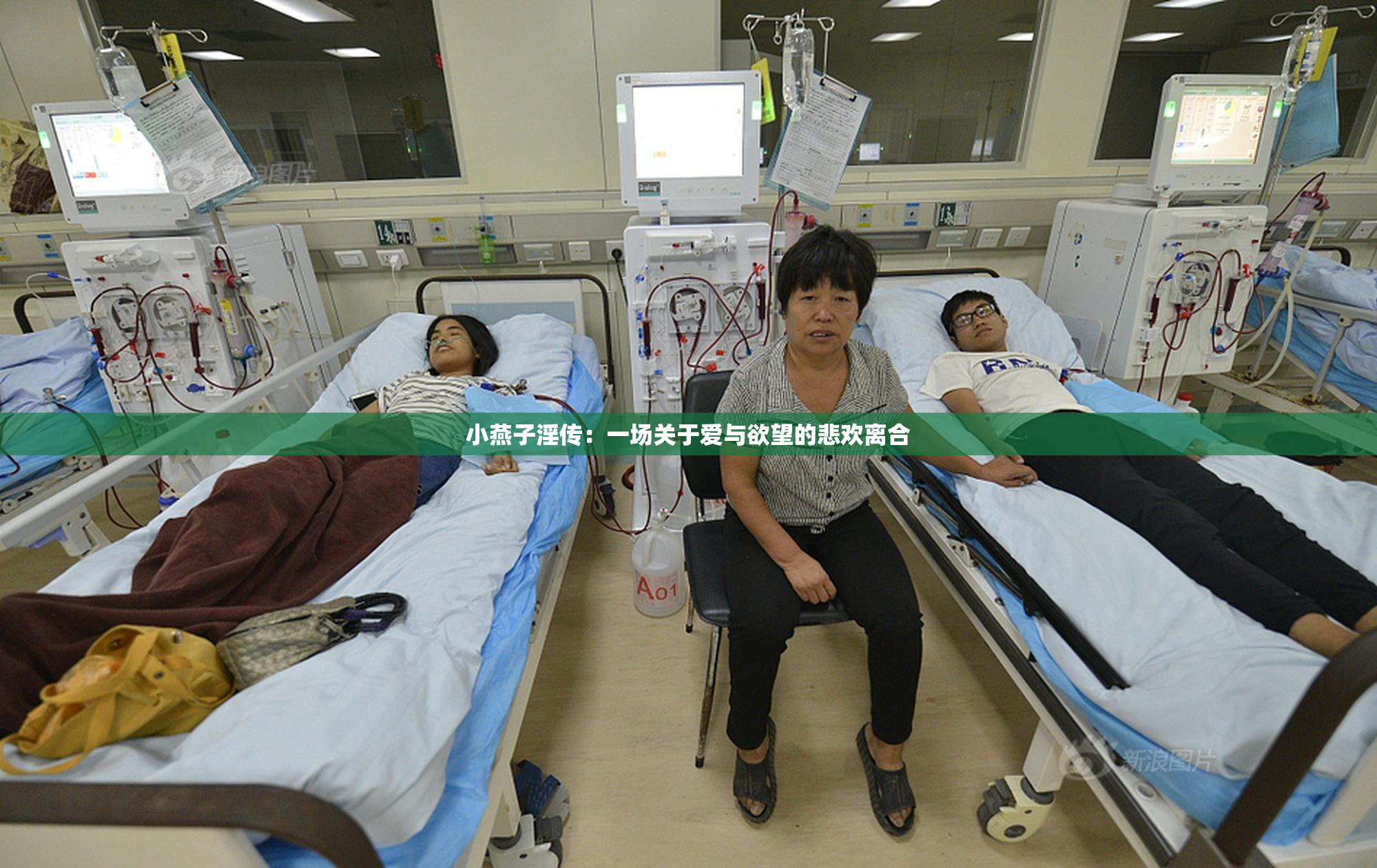 小燕子淫传：一场关于爱与欲望的悲欢离合