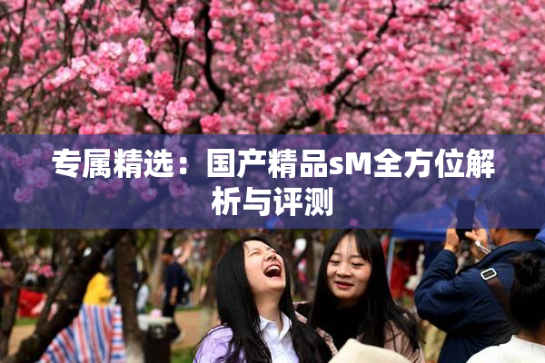 专属精选：国产精品sM全方位解析与评测