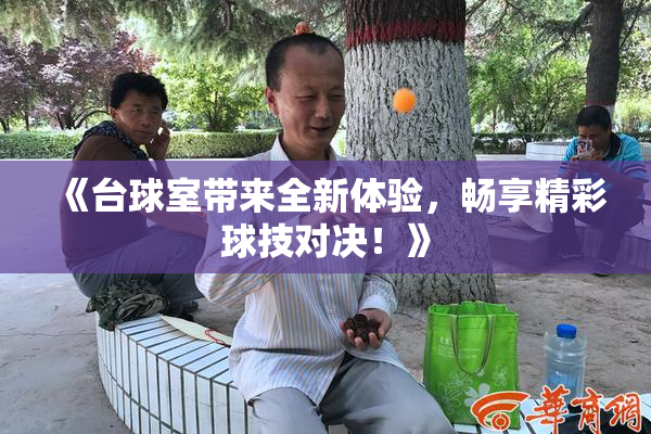 《台球室带来全新体验，畅享精彩球技对决！》