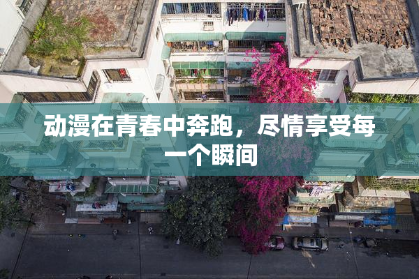 动漫在青春中奔跑，尽情享受每一个瞬间