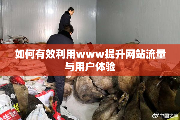 如何有效利用www提升网站流量与用户体验
