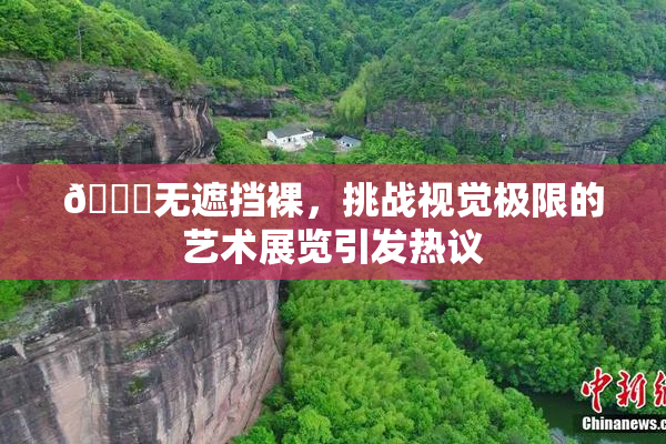 🔞无遮挡裸，挑战视觉极限的艺术展览引发热议