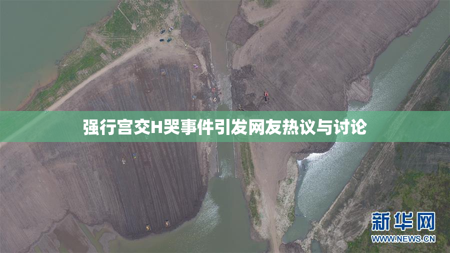 强行宫交H哭事件引发网友热议与讨论
