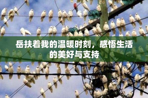 岳扶着我的温暖时刻，感悟生活的美好与支持