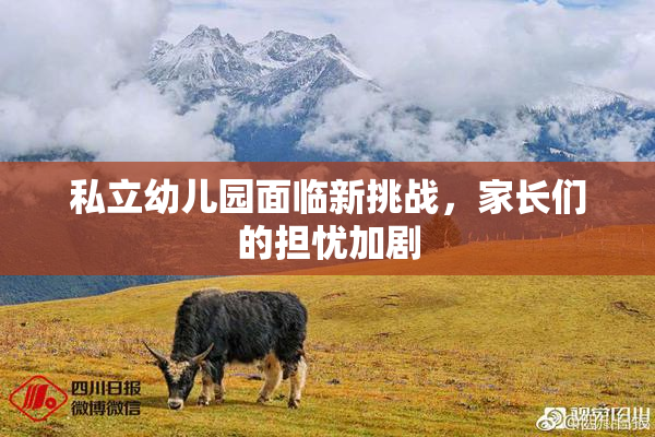 私立幼儿园面临新挑战，家长们的担忧加剧