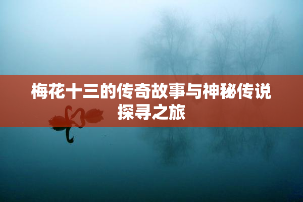 梅花十三的传奇故事与神秘传说探寻之旅