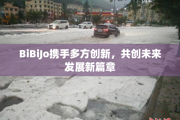 BiBiJo携手多方创新，共创未来发展新篇章