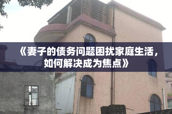 《妻子的债务问题困扰家庭生活，如何解决成为焦点》