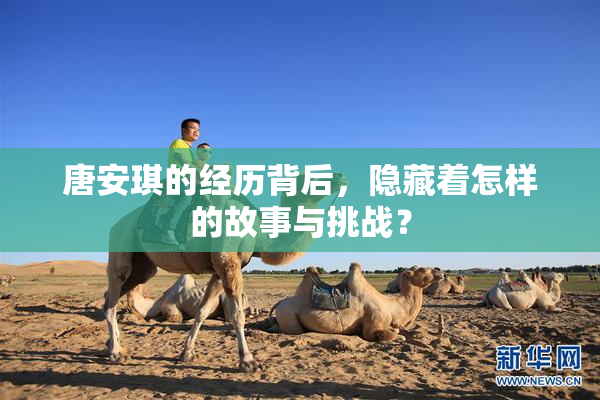 唐安琪的经历背后，隐藏着怎样的故事与挑战？