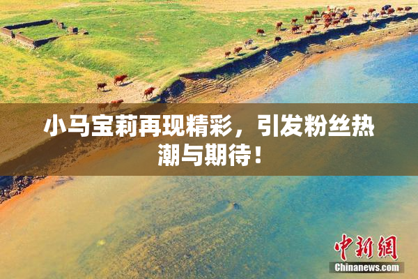 小马宝莉再现精彩，引发粉丝热潮与期待！